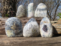 Polished Dendritic Opal Standing Free Forms  x 6 From Moralambo, Madagascar - Toprock Gemstones and Minerals 