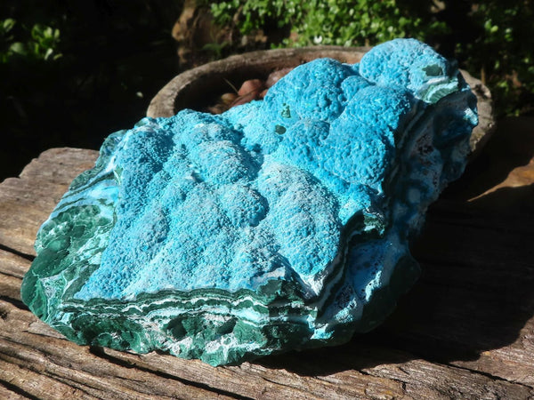 Natural Blue Chrysocolla On Silky Malachite Matrix Specimen  x 1 From Kulukuluku, Congo - Toprock Gemstones and Minerals 