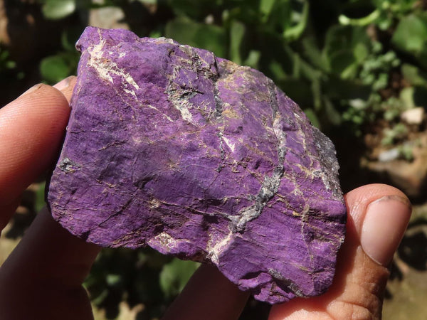 Natural Highly Selected Purpurite Cobbed Specimens  x 16 From Erongo, Namibia - TopRock