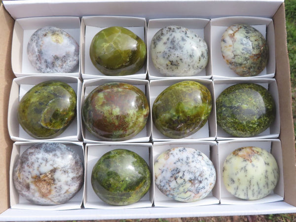 Polished Mixed Selection Of Dendritic White Opal & Green Opal Palm Stones  x 12 From Madagascar - TopRock