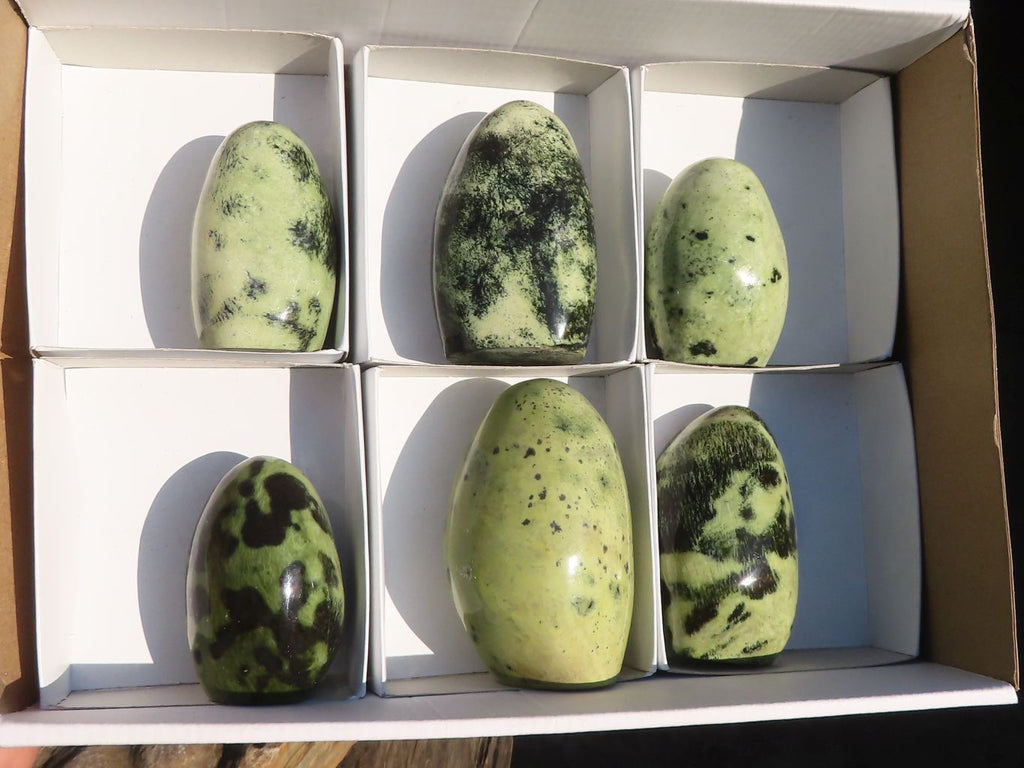 Polished  Green Leopard Stone Standing Free Forms  x 6 From Zimbabwe - Toprock Gemstones and Minerals 