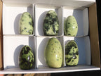 Polished  Green Leopard Stone Standing Free Forms  x 6 From Zimbabwe - Toprock Gemstones and Minerals 