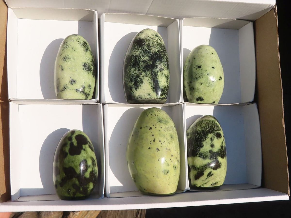 Polished  Green Leopard Stone Standing Free Forms  x 6 From Zimbabwe - Toprock Gemstones and Minerals 