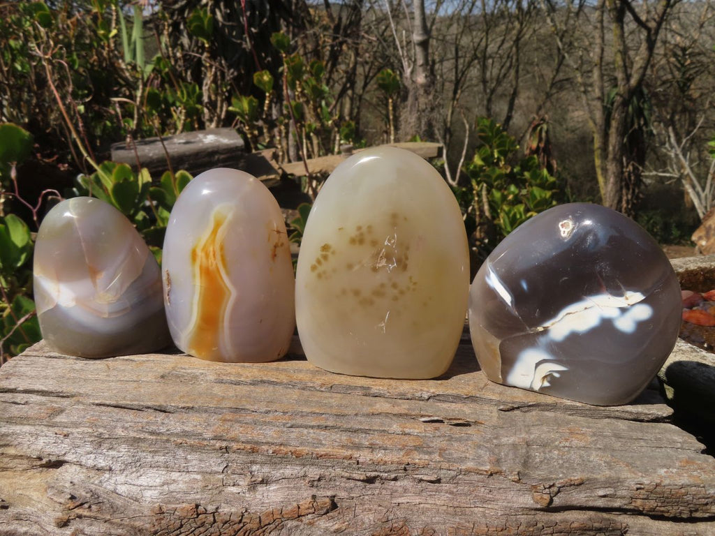 Polished Mixed Agate Standing Free Forms x 4 From West Coast, Madagascar - Toprock Gemstones and Minerals 