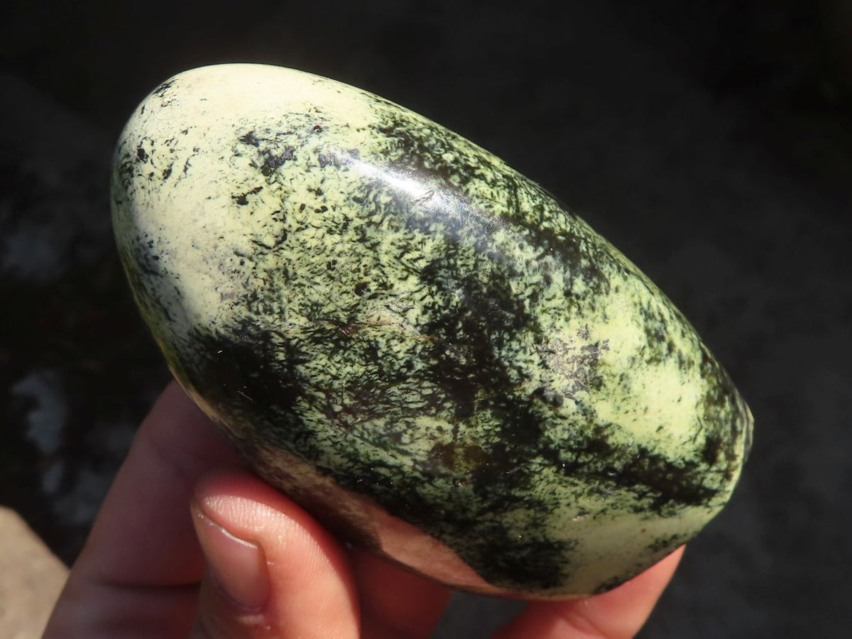 Polished  Green Leopard Stone Standing Free Forms  x 6 From Zimbabwe - Toprock Gemstones and Minerals 