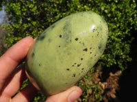 Polished  Green Leopard Stone Standing Free Forms  x 6 From Zimbabwe - Toprock Gemstones and Minerals 