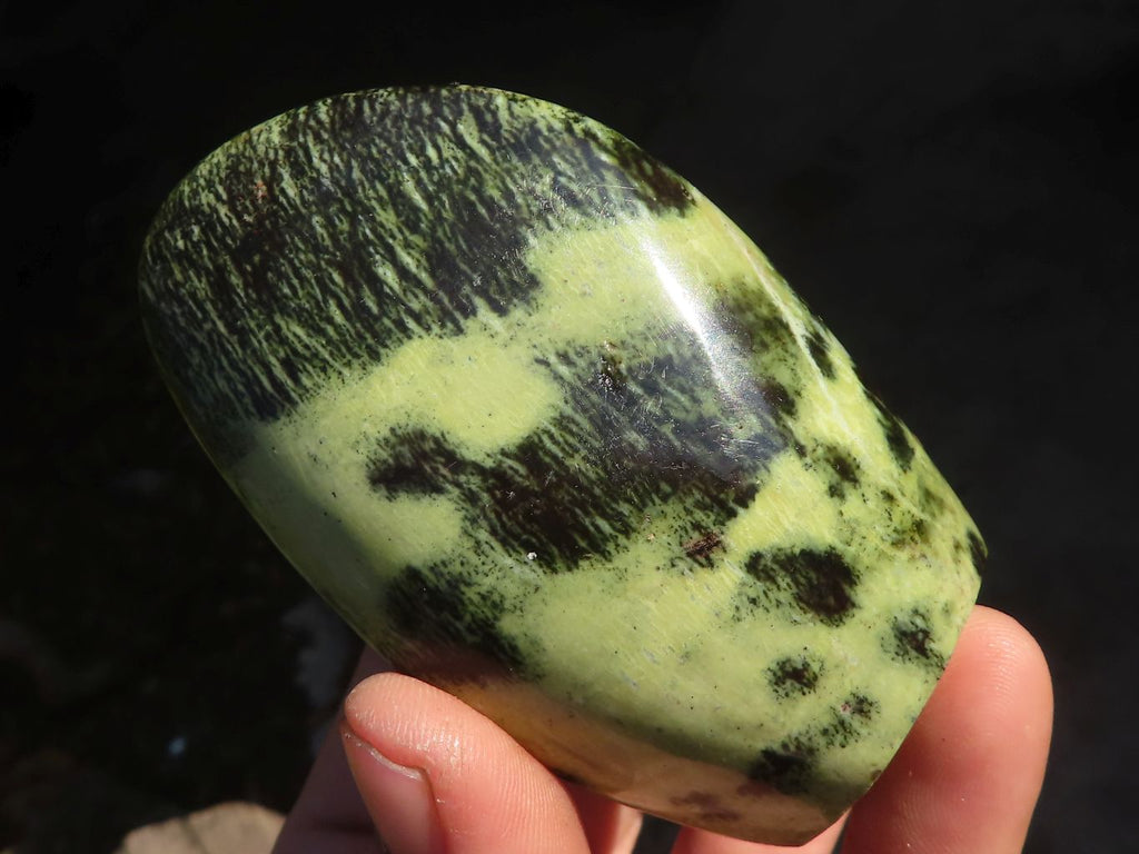 Polished  Green Leopard Stone Standing Free Forms  x 6 From Zimbabwe - Toprock Gemstones and Minerals 