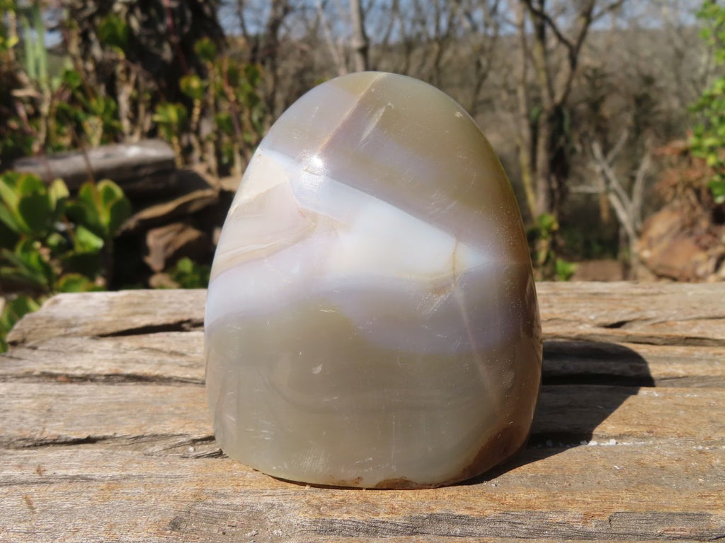 Polished Mixed Agate Standing Free Forms x 4 From West Coast, Madagascar - Toprock Gemstones and Minerals 