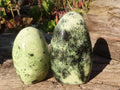 Polished  Green Leopard Stone Standing Free Forms  x 6 From Zimbabwe - Toprock Gemstones and Minerals 