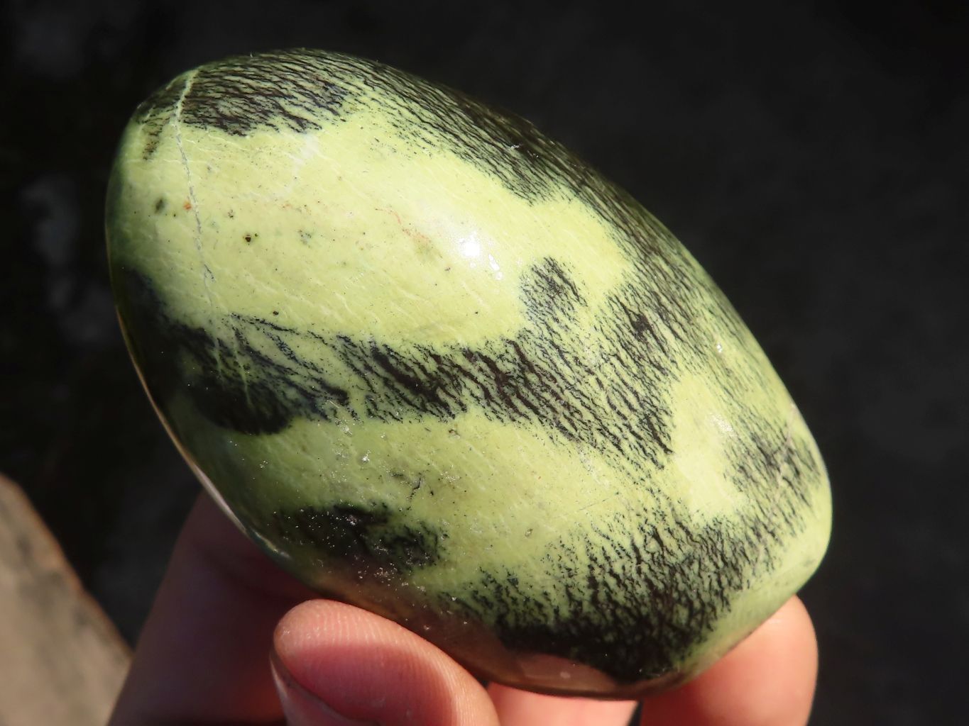 Polished  Green Leopard Stone Standing Free Forms  x 6 From Zimbabwe - Toprock Gemstones and Minerals 