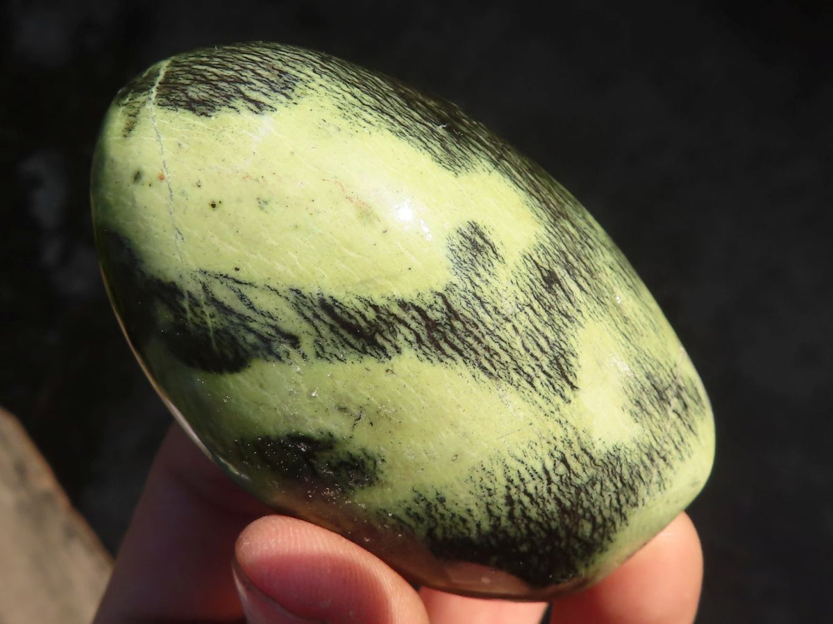 Polished  Green Leopard Stone Standing Free Forms  x 6 From Zimbabwe - Toprock Gemstones and Minerals 