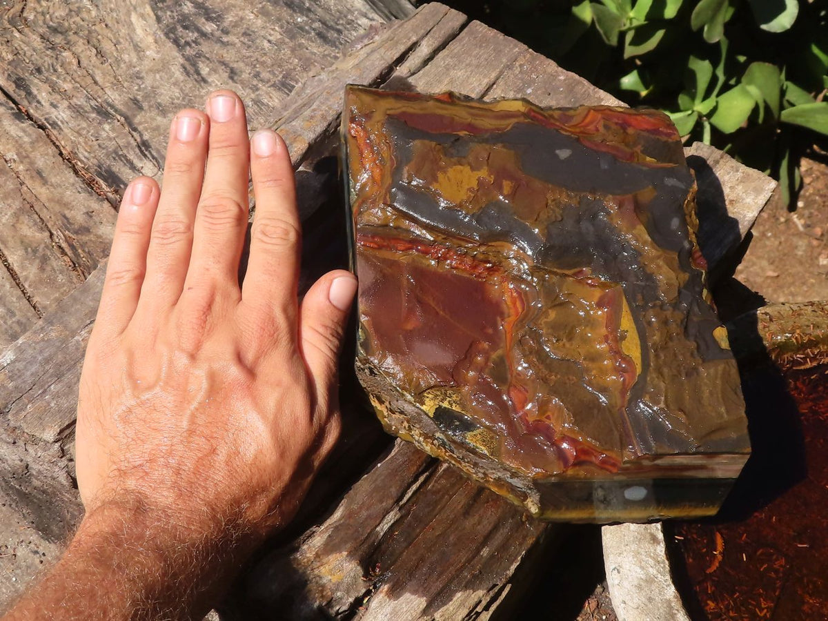 Natural Golden Blue Tigers Eye Specimen x 1 From Prieska, South Africa - TopRock