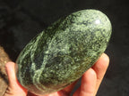 Polished Leopard Stone (Serpentine) Standing Display Free Forms x 3 From Zimbabwe - Toprock Gemstones and Minerals 