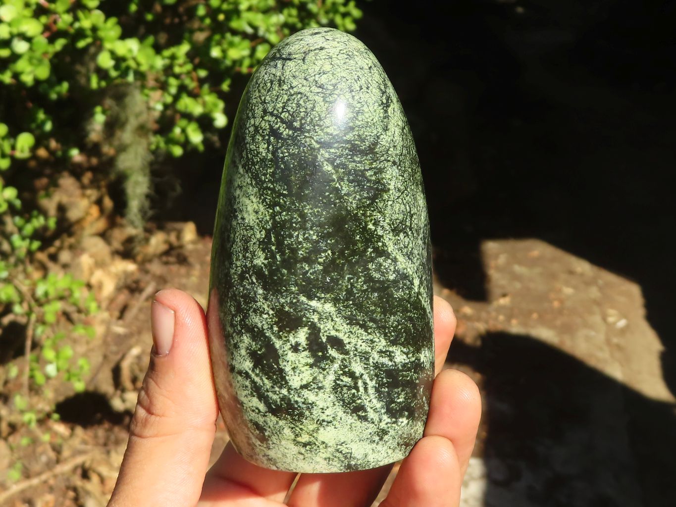 Polished Leopard Stone (Serpentine) Standing Display Free Forms x 3 From Zimbabwe - Toprock Gemstones and Minerals 