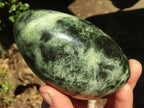 Polished Leopard Stone (Serpentine) Standing Display Free Forms x 3 From Zimbabwe - Toprock Gemstones and Minerals 