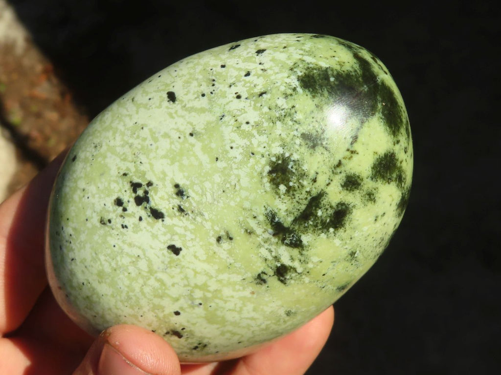 Polished Leopard Stone (Serpentine) Standing Display Free Forms x 3 From Zimbabwe - Toprock Gemstones and Minerals 