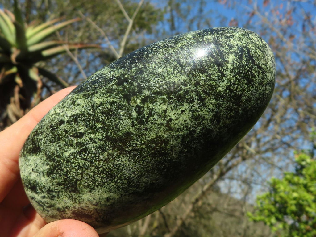 Polished Leopard Stone (Serpentine) Standing Display Free Forms x 3 From Zimbabwe - Toprock Gemstones and Minerals 