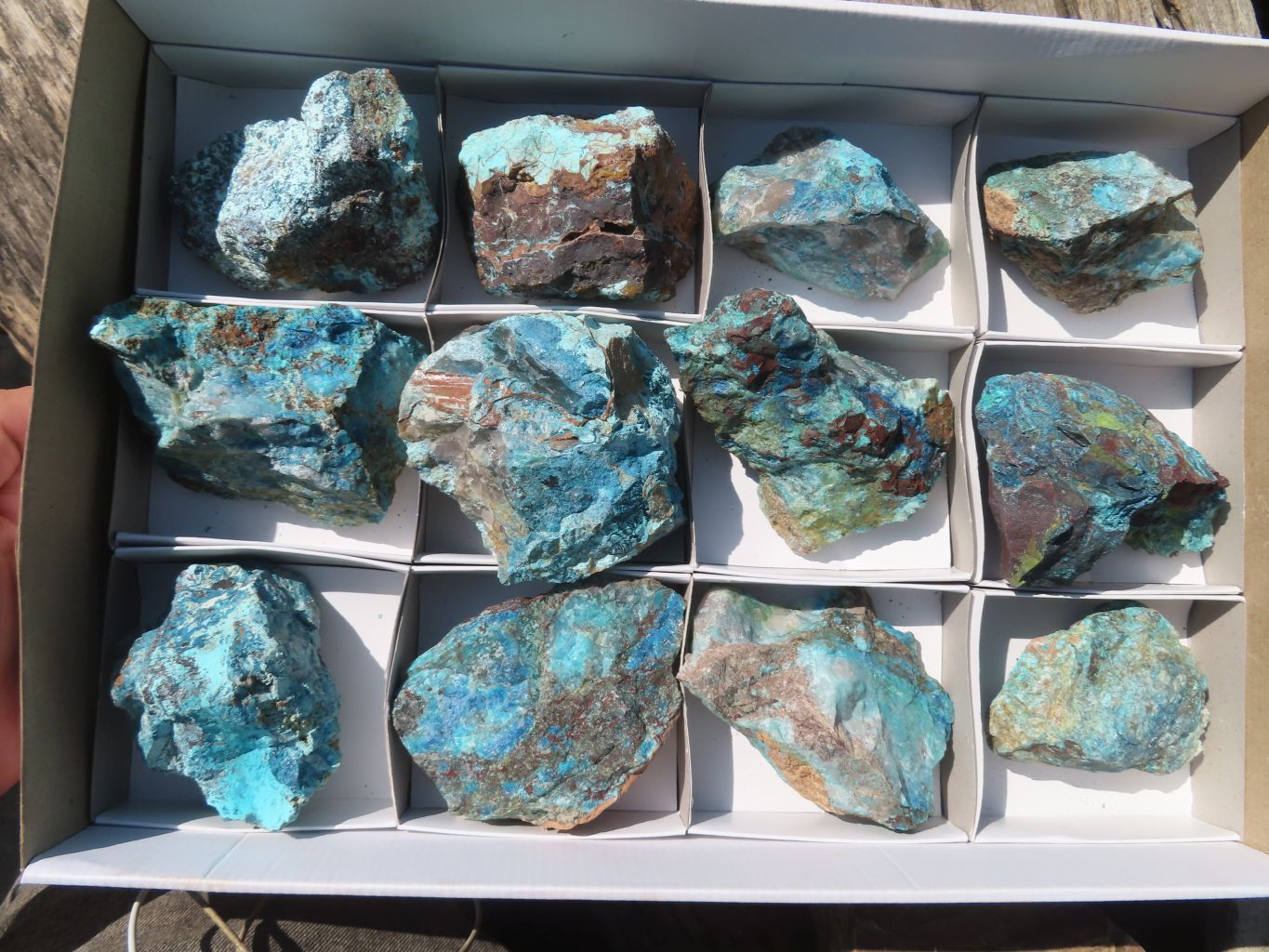 Natural Rough Shattuckite Cobbed Specimens x 12 From Kaokoveld, Namibia - Toprock Gemstones and Minerals 