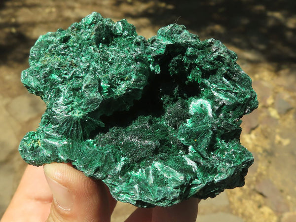 Natural Chatoyant Silky Malachite Specimens  x 5 From Kasompe, Congo - TopRock