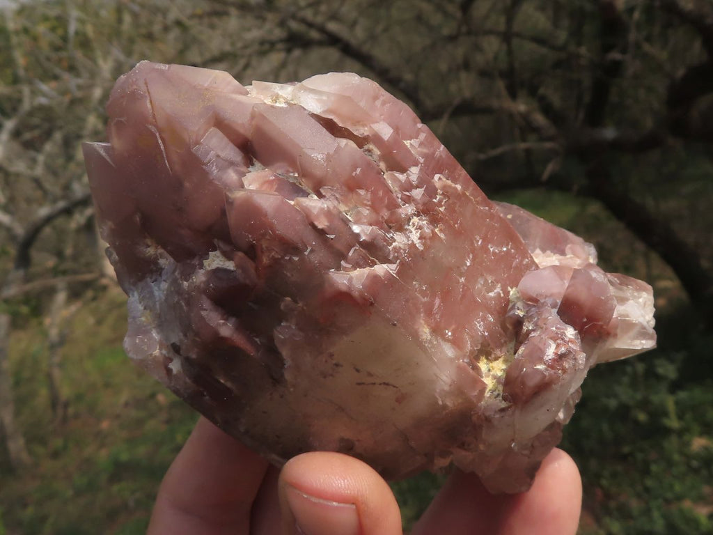 Natural Selection Of Red Hematoid Phantom Quartz Clusters  x 3 From Karoi, Zimbabwe - TopRock