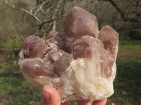 Natural Selection Of Red Hematoid Phantom Quartz Clusters  x 3 From Karoi, Zimbabwe - TopRock