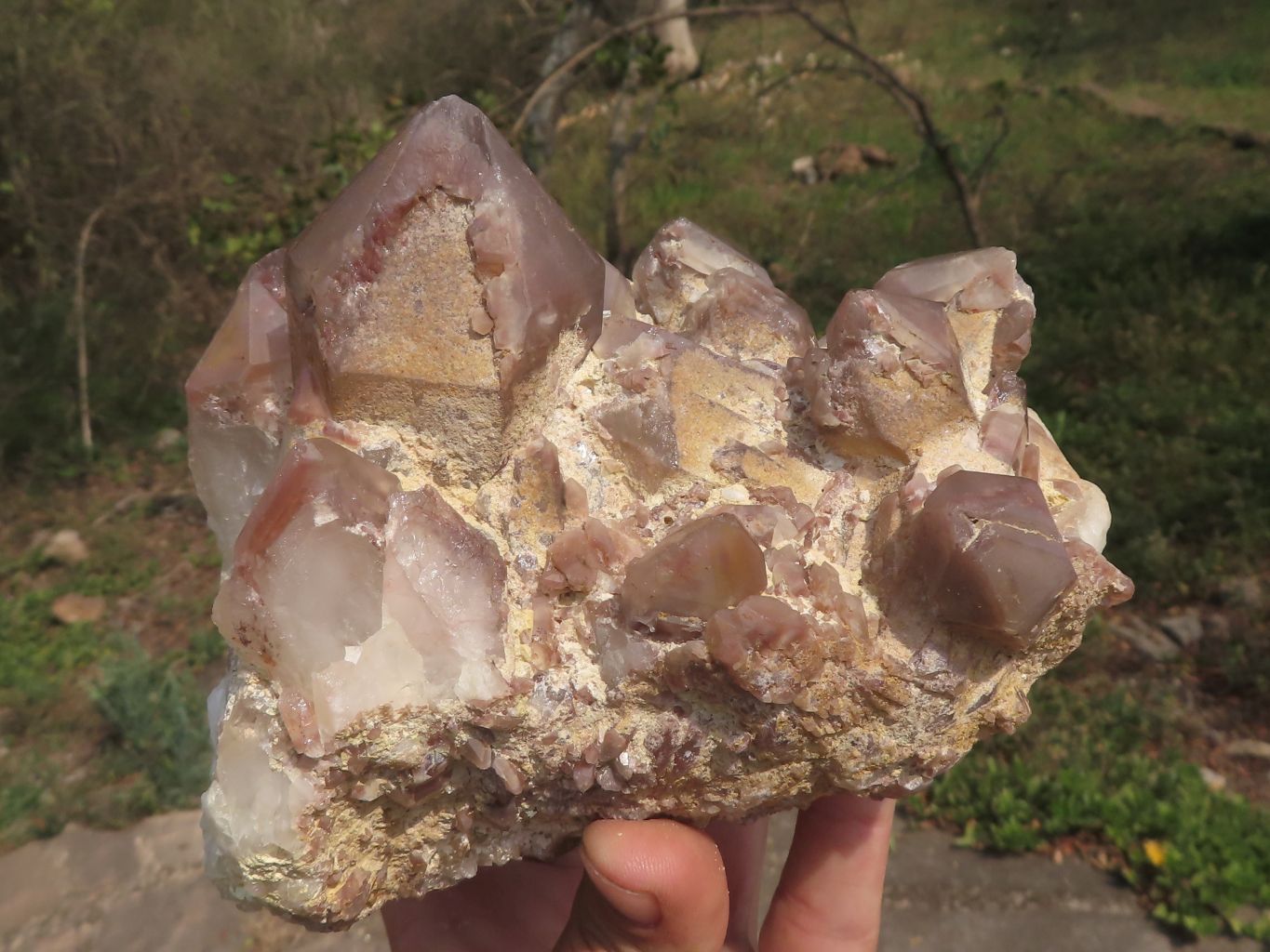 Natural Selection Of Red Hematoid Phantom Quartz Clusters  x 3 From Karoi, Zimbabwe - TopRock