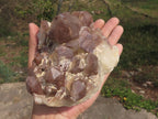 Natural Selection Of Red Hematoid Phantom Quartz Clusters  x 3 From Karoi, Zimbabwe - TopRock