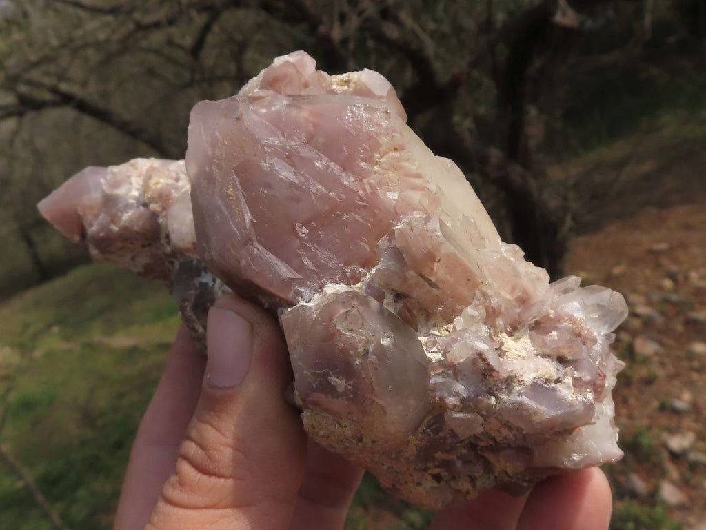 Natural Selection Of Red Hematoid Phantom Quartz Clusters  x 3 From Karoi, Zimbabwe - TopRock