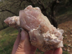 Natural Selection Of Red Hematoid Phantom Quartz Clusters  x 3 From Karoi, Zimbabwe - TopRock