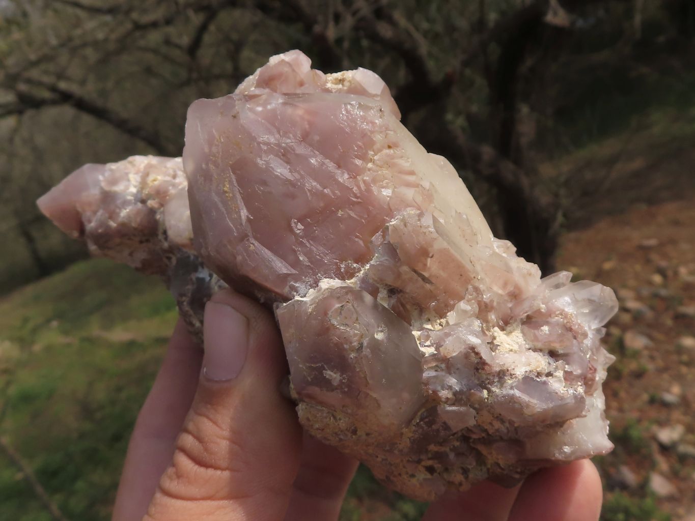 Natural Selection Of Red Hematoid Phantom Quartz Clusters  x 3 From Karoi, Zimbabwe - TopRock
