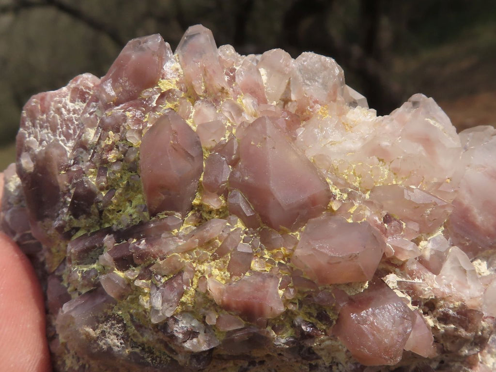 Natural Selection Of Red Hematoid Phantom Quartz Clusters  x 3 From Karoi, Zimbabwe - TopRock