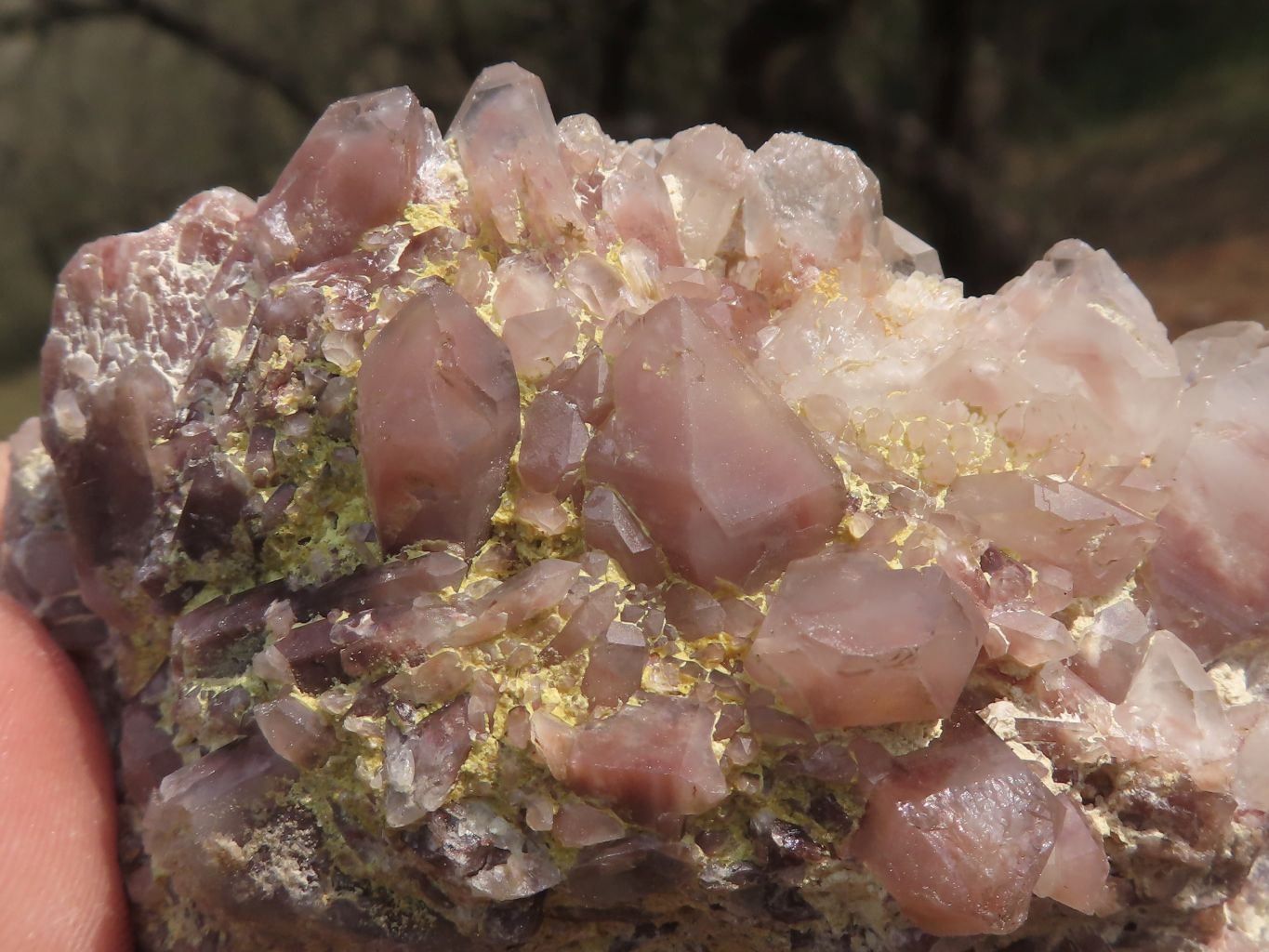 Natural Selection Of Red Hematoid Phantom Quartz Clusters  x 3 From Karoi, Zimbabwe - TopRock