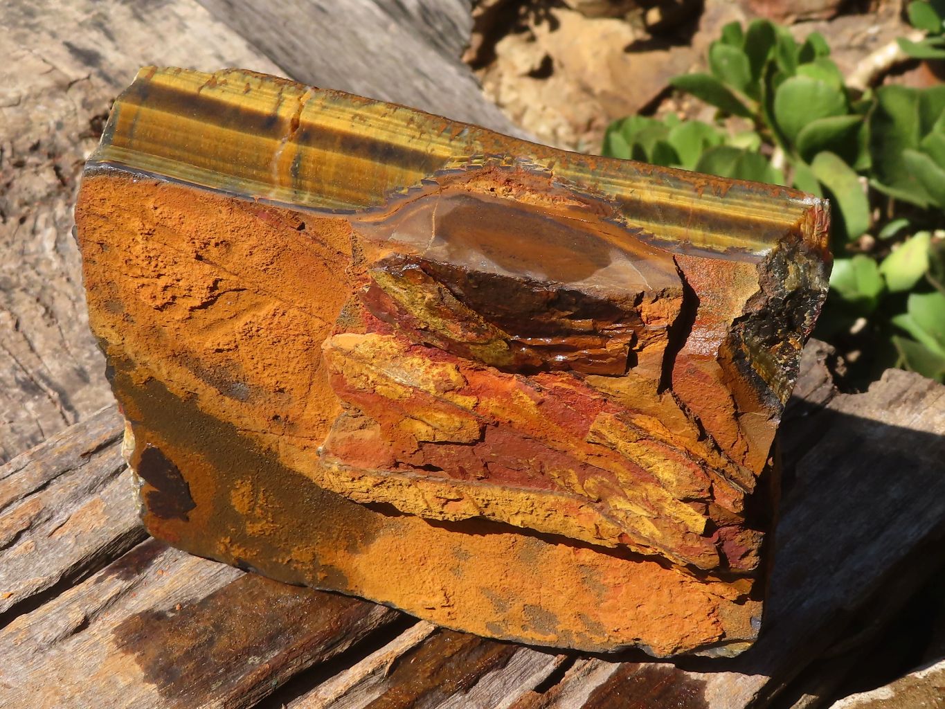 Natural Golden Blue Tigers Eye Specimen x 1 From Prieska, South Africa - TopRock