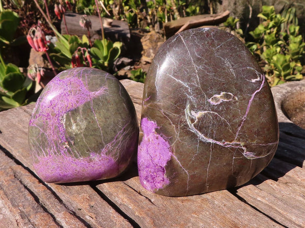 Polished  Rare Stichtite & Serpentine Standing Display Free Forms  x 2 From Barberton, South Africa