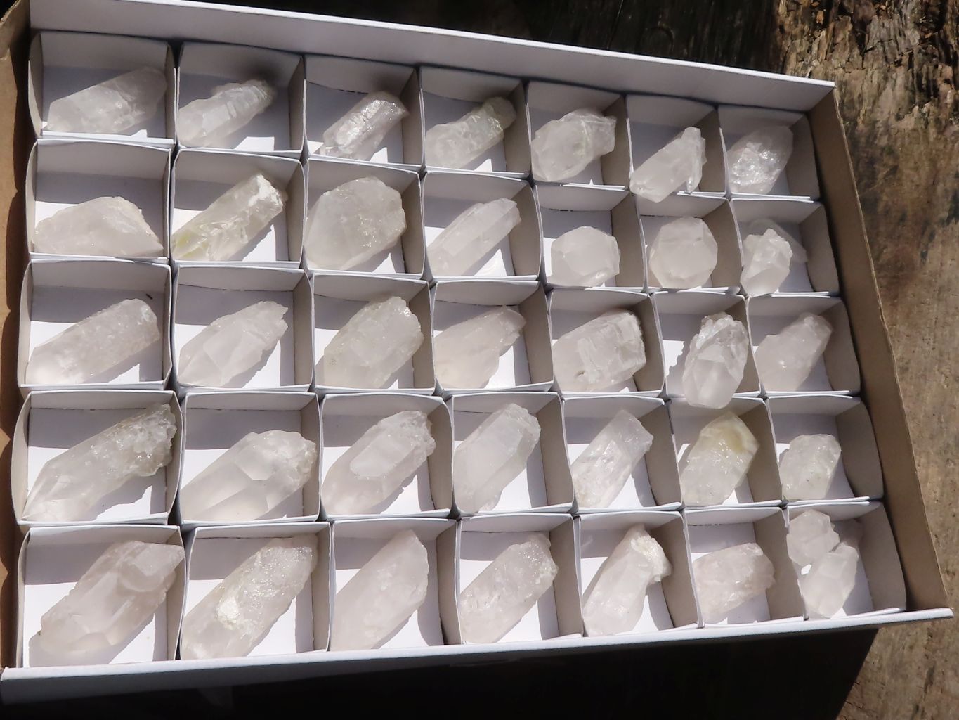 Natural Clear Single Quartz Crystals  x 37 From Mpika, Zambia - Toprock Gemstones and Minerals 