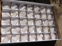 Natural Clear Single Quartz Crystals  x 37 From Mpika, Zambia - Toprock Gemstones and Minerals 