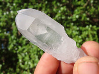 Natural Clear Single Quartz Crystals  x 37 From Mpika, Zambia - Toprock Gemstones and Minerals 