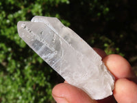 Natural Clear Single Quartz Crystals  x 37 From Mpika, Zambia - Toprock Gemstones and Minerals 