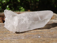 Natural Clear Single Quartz Crystals  x 37 From Mpika, Zambia - Toprock Gemstones and Minerals 