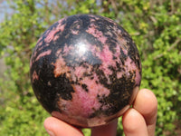 Polished Rhodonite Spheres x 2 From Ambindavato, Madagascar - Toprock Gemstones and Minerals 