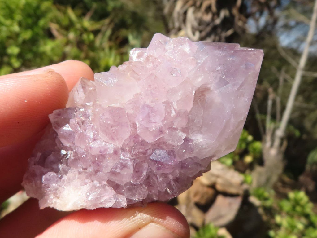 Natural Mixed Spirit Amethyst Quartz Clusters  x 12 From Boekenhouthoek, South Africa - Toprock Gemstones and Minerals 