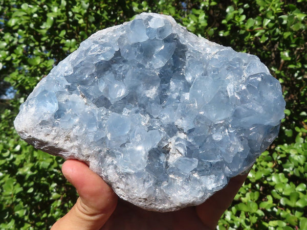 Natural Blue Celestite Crystal Specimen  x 1 From Madagascar - Toprock Gemstones and Minerals 