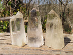 Polished Clear Quartz Crystal Points  x 6 From Madagascar - Toprock Gemstones and Minerals 