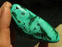 Polished Malachite Free Forms x 3 From Kolwezi, Congo - Toprock Gemstones and Minerals 