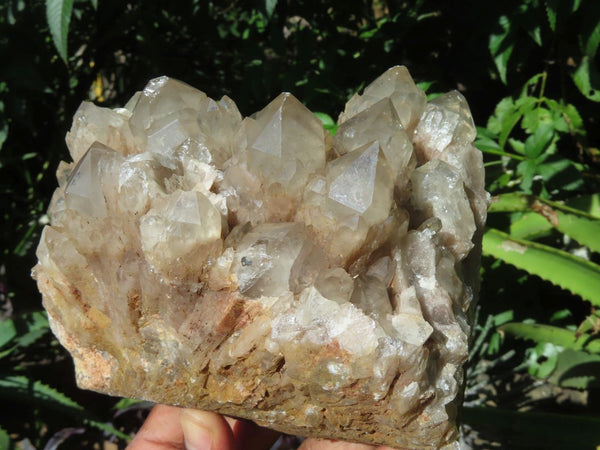 Natural Smokey Phantom Quartz Cluster x 1 From Lwena, Congo - TopRock