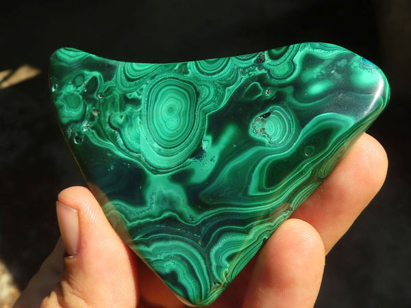 Polished Selected Malachite Free Forms x 12 From Congo