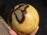 Polished Septaria Spheres x 2 From Mahajanga, Madagascar - Toprock Gemstones and Minerals 