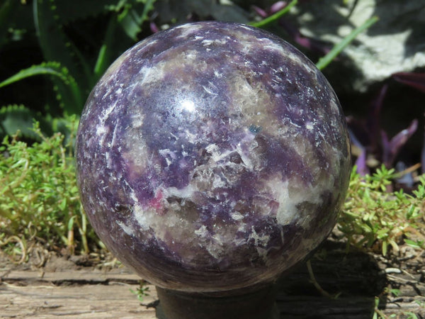 Polished Lepidolite Spheres with Pink Tourmaline Inclusions x 2 From Madagascar - TopRock