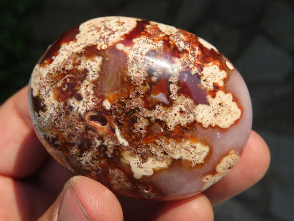 Polished Coral Flower Agate Gallets x 13 From Maintirano, Madagascar - TopRock