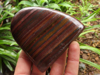 Polished Tiger Iron Banded Jasper Standing Free Forms  x 3 From Northern Cape, South Africa - TopRock